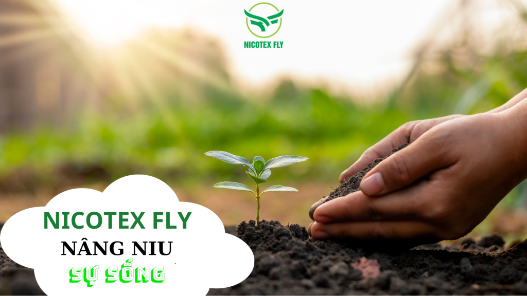 Nicotex Fly