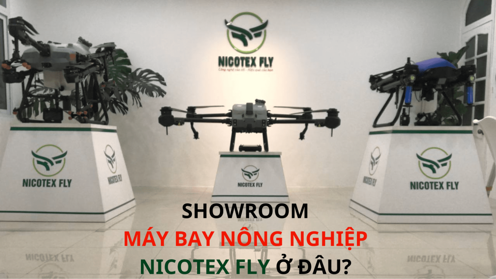 Nicotex Fly