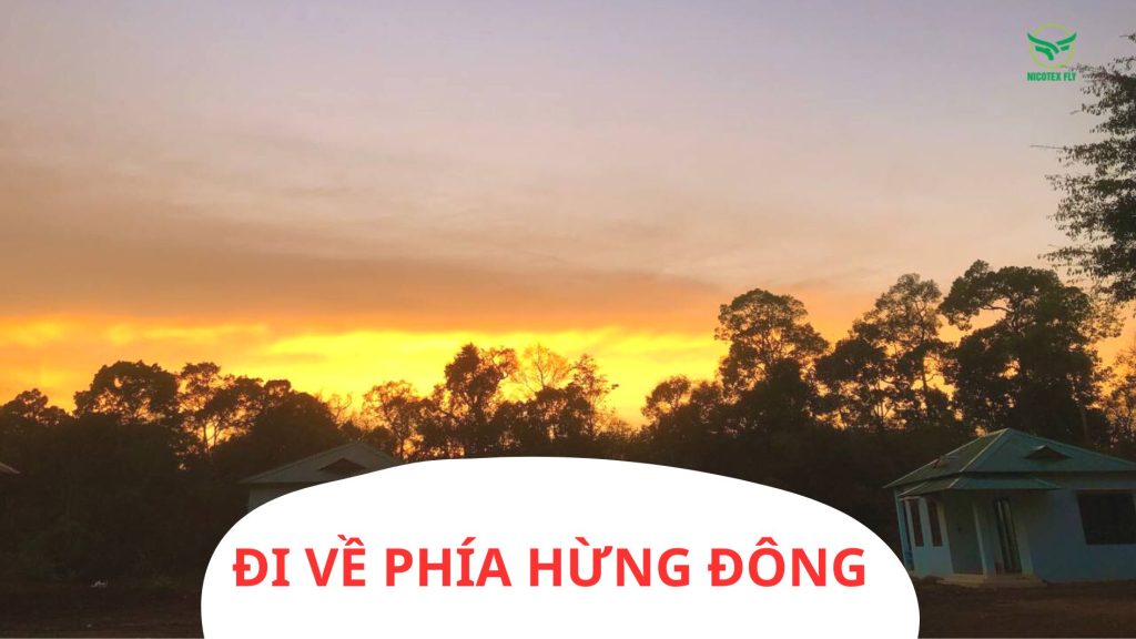 di-ve-phia-hung-dong-.jpg