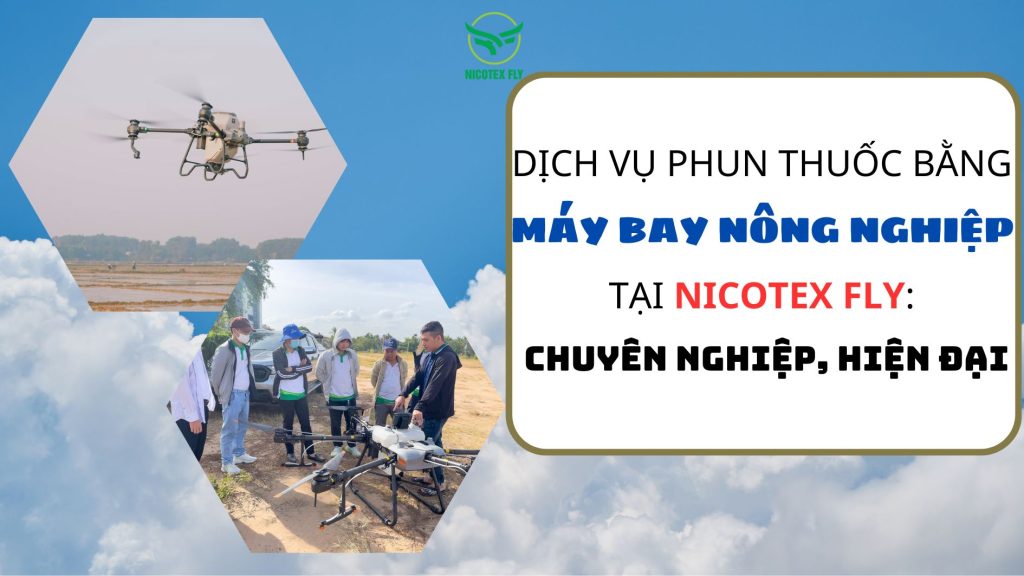 dich-vu-phun-thuoc.jpg