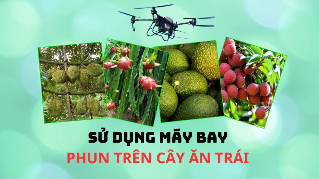 may-bay-phun-tren-cay-an-qua.jpg