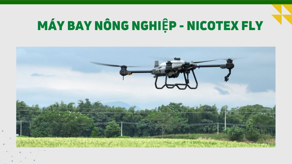 Nicotex Fly