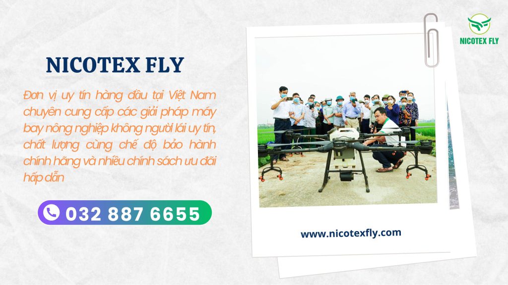 Nicotex Fly
