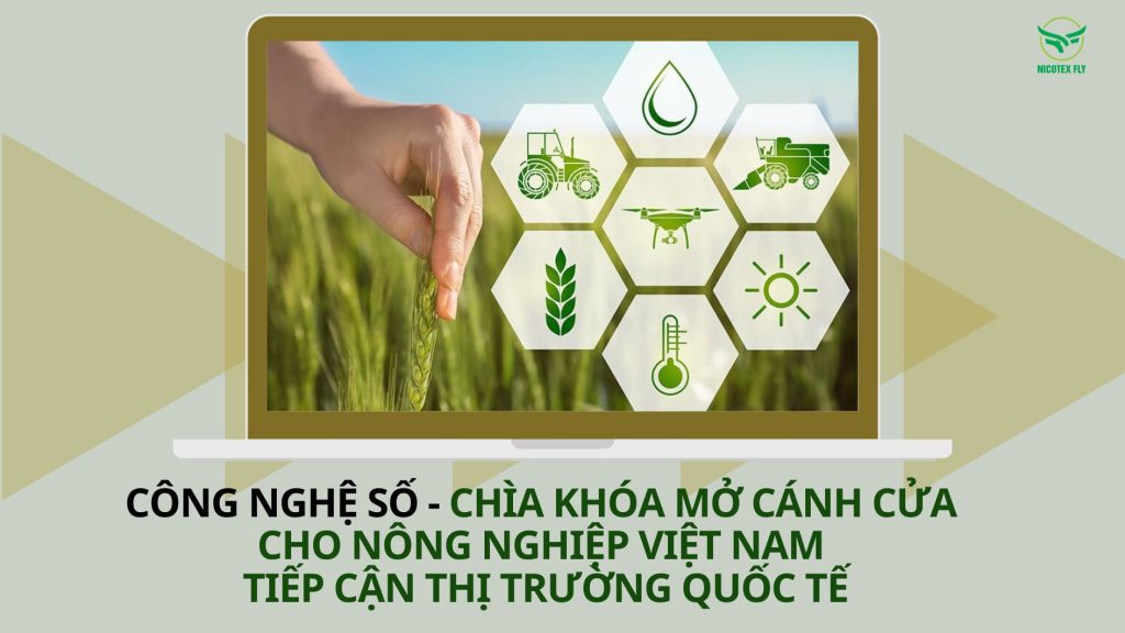 cong-nghe-so.jpg