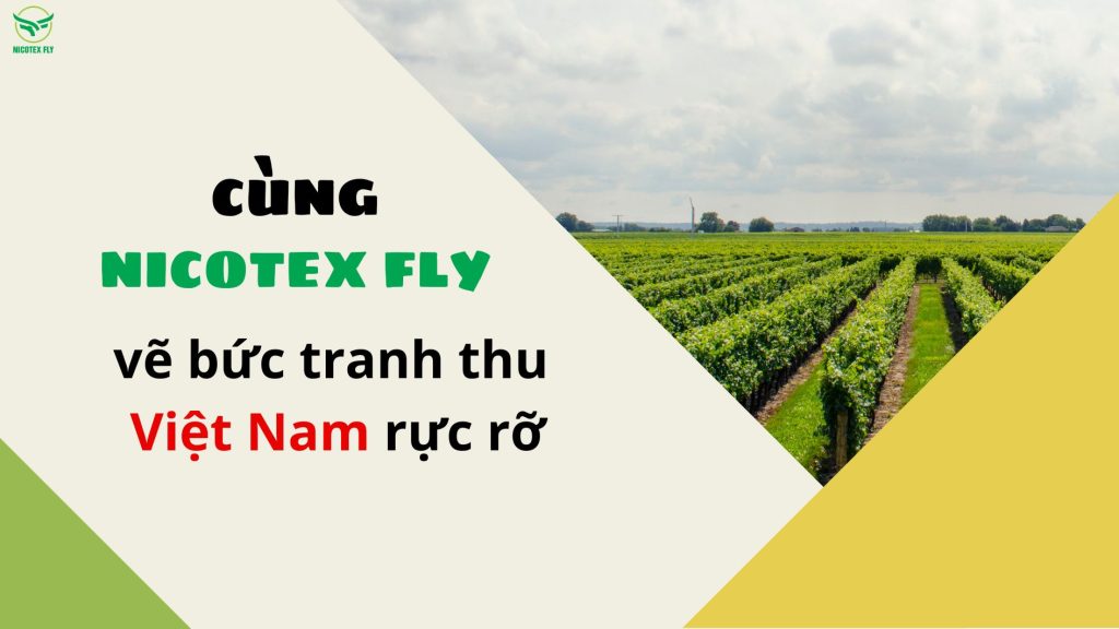 cung-nicotexfly-ve-buc-tranh.jpg