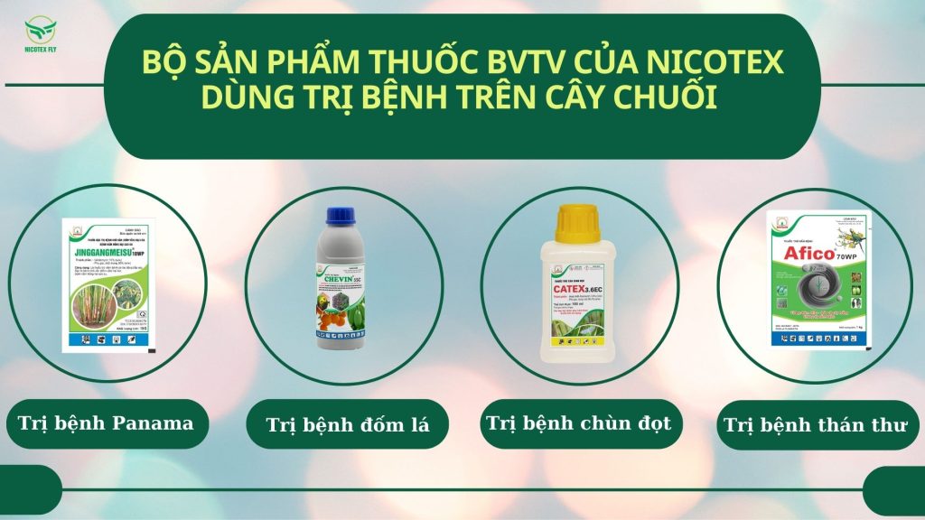 phong-tru-benh-hai-tren-chuoi-san-pham.jpg 